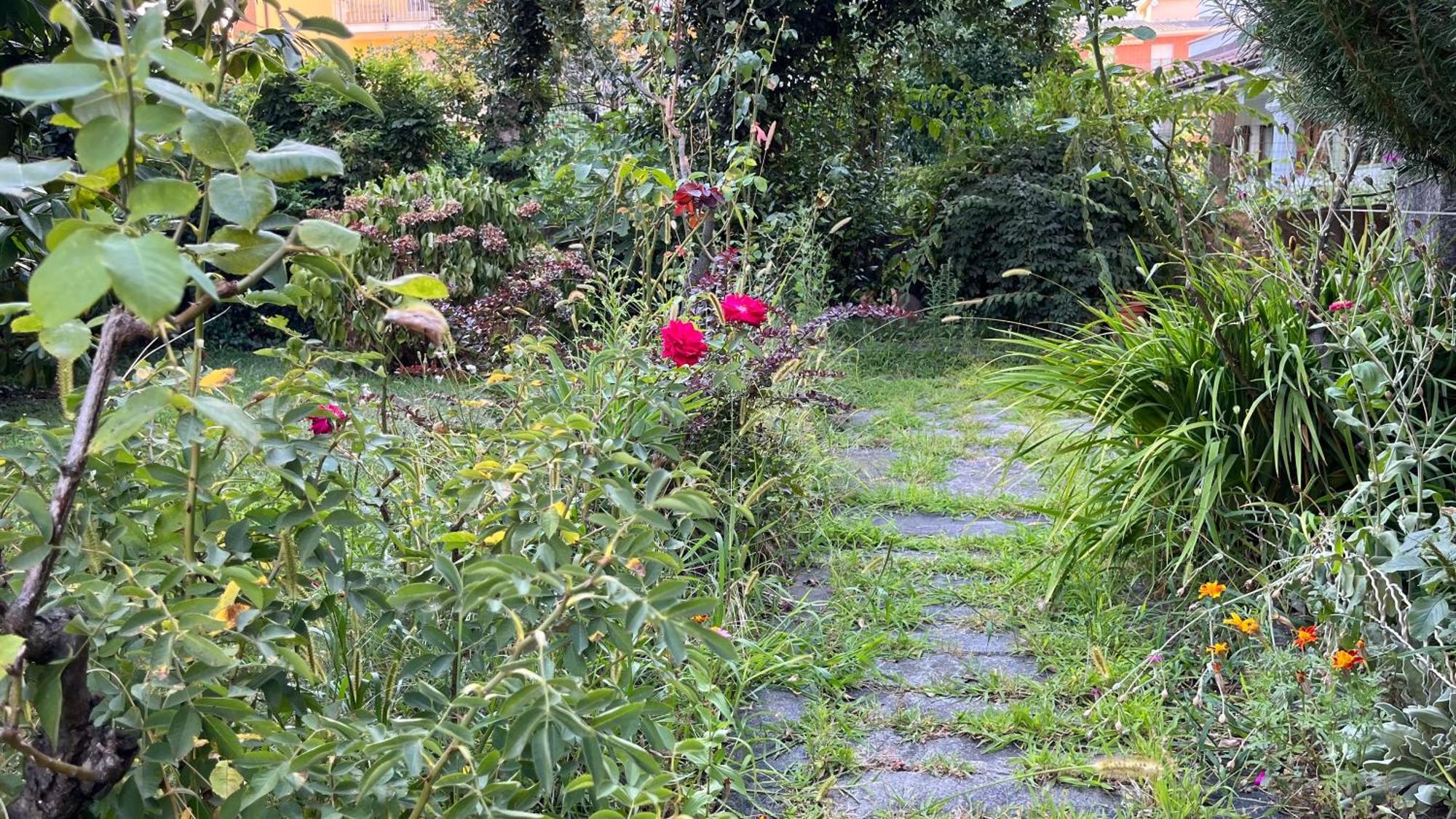 Ferienwohnung Antica Casa Storica Con Giardino Domodossola Exterior foto